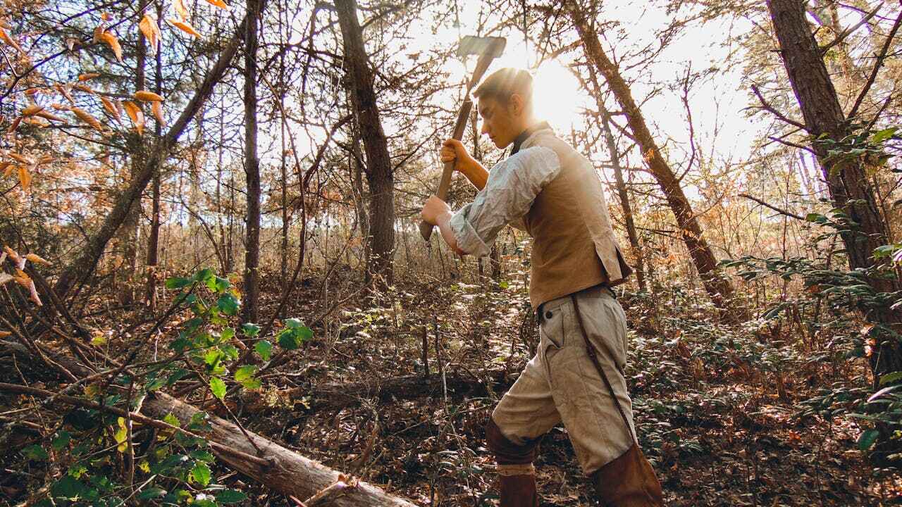 Best Tree Cutting Near Me  in USA